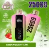 Bang 25000 Puffs 3