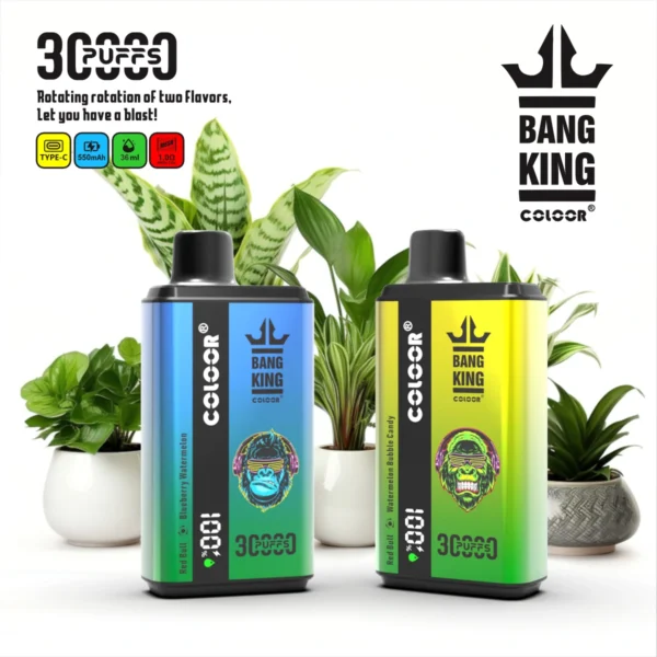 Bang King 30000 Puffs 6