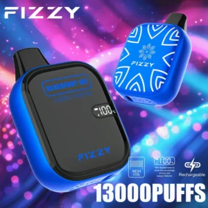 Best 12000 Puff FIZZY Vapes in Belgium