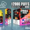 Fluum Box 12000 Puffs 1