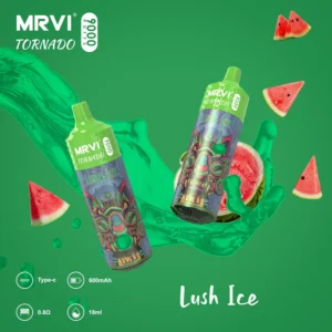 Mrvi Tornado 9000 Puffs 18ml Mesh Coil Vaporizator reîncărcabil țigară En-gros Vape Pen 2