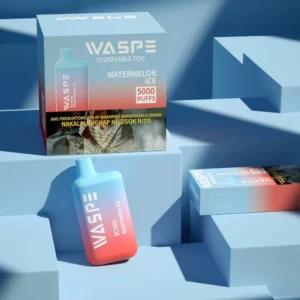 Vânzări cu ridicata WASPE 5000 PUFFS Pen Vape de unică folosință cu nicotină multiplă 0 2 3 5 niveluri 13 ml Capacitate bobină plasă tip C Livrare rapidă 1