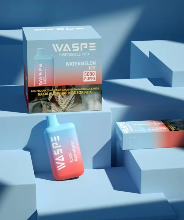 Vânzări cu ridicata WASPE 5000 PUFFS Pen Vape de unică folosință cu nicotină multiplă 0 2 3 5 niveluri 13 ml Capacitate bobină plasă tip C Livrare rapidă 1