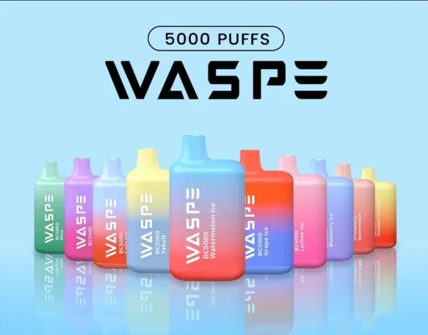 Vânzări cu ridicata WASPE 5000 PUFFS Pen Vape de unică folosință cu nicotină multiplă 0 2 3 5 niveluri Capacitate 13 ml Bobină de plasă tip C Livrare rapidă 3