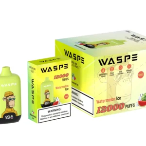 Comerț cu ridicata Waspe 12000 Puffs Cutie digitală Pen Vape de unică folosință cu afișaj LCD Capacitate 20 ml Bobină de plasă Niveluri multiple de nicotină 0 2 3 5 12