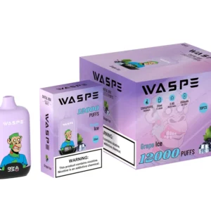 Comerț cu ridicata Waspe 12000 Puffs Cutie digitală Pen Vape de unică folosință cu afișaj LCD Capacitate 20 ml Bobină de plasă Niveluri multiple de nicotină 0 2 3 5 13