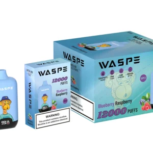 Comerț cu ridicata Waspe 12000 Puffs Cutie digitală Pen Vape de unică folosință cu afișaj LCD Capacitate 20 ml Bobină de plasă Niveluri multiple de nicotină 0 2 3 5 15