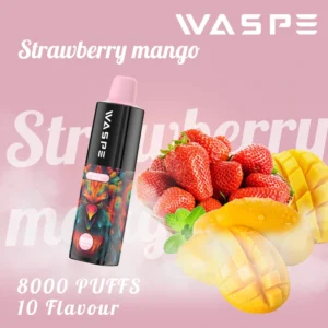 Hulgimüük Waspe 8000 Puffs ühekordselt kasutatav Vape Pen pliiats mitme nikotiiniga 0 2 3 5 taset 16 ml Maht C-tüüpi laetav aku 11