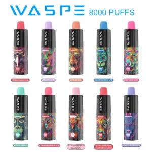 Hulgimüük Waspe 8000 Puffs ühekordse nikotiiniga Vape Pen pliiats 0 2 3 5 taset 16 ml mahutavusega tüüp C laetav aku 3