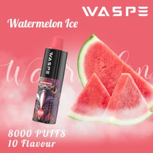 Hulgimüük Waspe 8000 Puffs ühekordselt kasutatav Vape Pen pliiats mitme nikotiiniga 0 2 3 5 taset 16 ml Maht C-tüüpi laetav aku 5