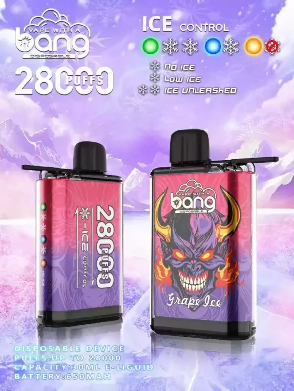 Bang 28000 Puffs Factory Direct Hurtownia wielu smaków, aby podnieść Twoje wrażenia z wapowania 21