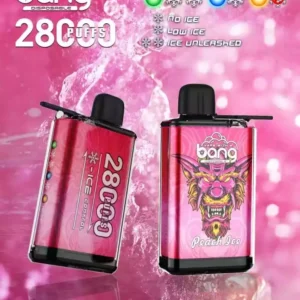 Bang 28000 Puffs Factory Direct Wholesale Multiple Flavors to Elevate Your Vaping Experience (8)