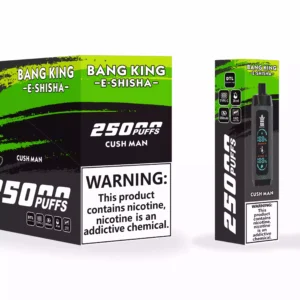 Bang King 25000 Puffs Nahkakotelo Factory Suora tukkumyynti useita makuja parantaaksesi höyrystyskokemustasi 10