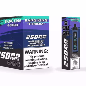 Bang King 25000 Puffs Nahkakotelo Factory Suora tukkumyynti useita makuja parantaaksesi höyrystyskokemustasi 11