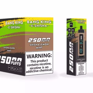 Bang King 25000 Puffs Nahkakotelo Factory Suora tukkumyynti useita makuja parantaaksesi höyrystyskokemustasi 13