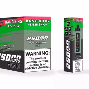 Bang King 25000 Puffs Leather Case Factory Direct Wholesale Multiple Flavors to Elevate Your Vaping Experience 14