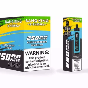 Bang King 25000 Puffs -nahkakotelo Factory Suora tukkumyynti useita makuja parantaaksesi höyrystyskokemustasi 4