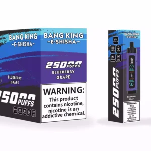 Bang King 25000 Puffs -nahkakotelo Factory Suora tukkumyynti useita makuja parantaaksesi höyrystyskokemustasi 7