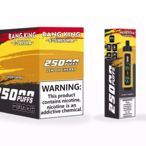 Bang King 25000 Puffs -nahkakotelo Factory Suora tukkumyynti useita makuja parantaaksesi höyrystyskokemustasi 9