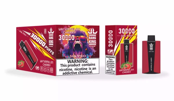 Bang King 30000 Puffs Pro оптом от источника Новые варианты вкуса для улучшения впечатлений от парения 11 масштабов