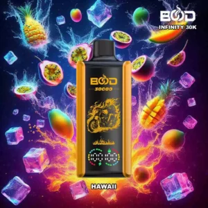 Silmapaistev BOD Infinity 30000 Puffs ühekordselt kasutatav vape koos 650mAh laetava aku ja 20 ml E vedelikuga hulgimüügiks 13