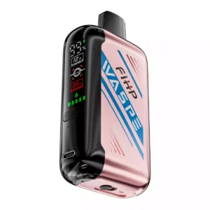 Värde för pengarna waspe fw 30000 puffs engångsvape med 0 procent 2 procent 5 procent nikotin 850 mAh batteri 28 ml eliquid justerbar luftflöde direkt fabrik grossist 37