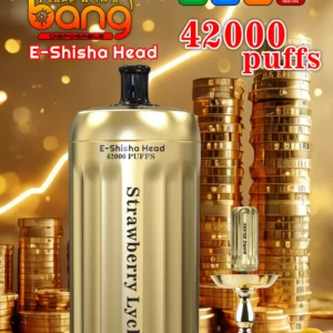 Affordable BANG 42000 BLAZE Disposable Vape 30ml E Liquid 0 2 5 Nicotine 1000mAh Battery Direct From Source Factory Bulk Wholesale Deals 10