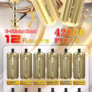 Affordable BANG 42000 BLAZE Disposable Vape 30ml E Liquid 0 2 5 Nicotine 1000mAh Battery Direct From Source Factory Bulk Wholesale Deals 13