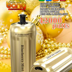 Affordable BANG 42000 BLAZE Disposable Vape 30ml E Liquid 0 2 5 Nicotine 1000mAh Battery Direct From Source Factory Bulk Wholesale Deals 2