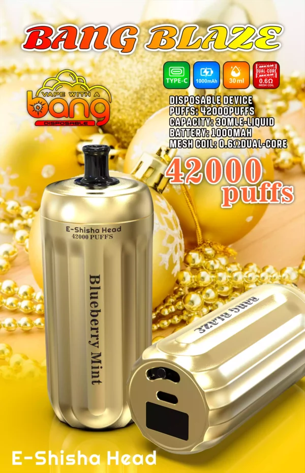 Affordable BANG 42000 BLAZE Disposable Vape 30ml E Liquid 0 2 5 Nicotine 1000mAh Battery Direct From Source Factory Bulk Wholesale Deals 2 scaled