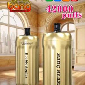 Affordable BANG 42000 BLAZE Disposable Vape 30ml E Liquid 0 2 5 Nicotine 1000mAh Battery Direct From Source Factory Bulk Wholesale Deals 3