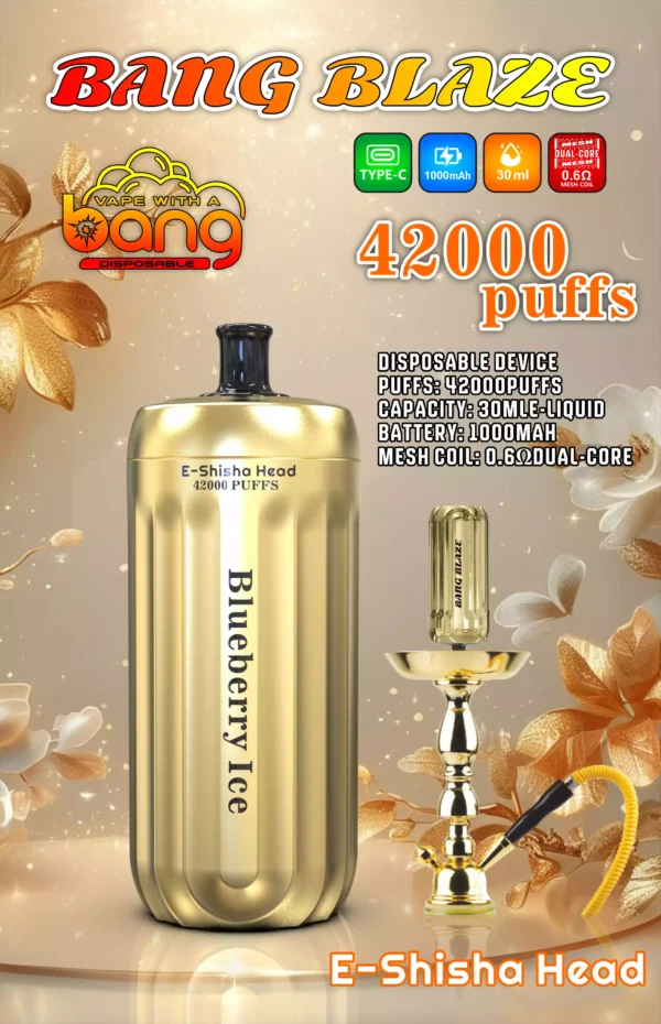 Affordable BANG 42000 BLAZE Disposable Vape 30ml E Liquid 0 2 5 Nicotine 1000mAh Battery Direct From Source Factory Bulk Wholesale Deals 6 scaled