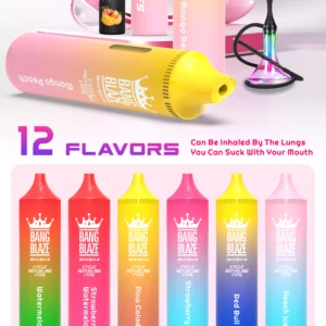 Exclusive Bang Blaze 40000 BK40 Disposable Vape 0% 2% 5% Nicotine 40ml E-liquid and Rechargeable Battery Wholesale Bulk Purchase (12)