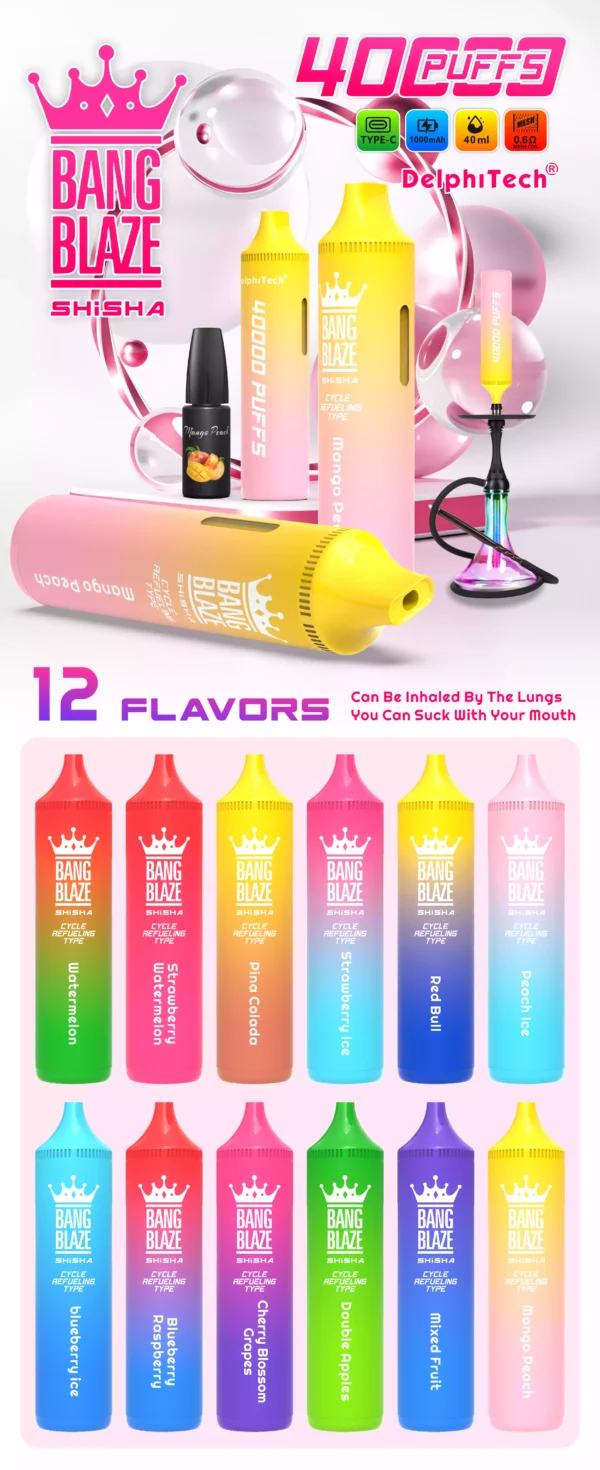 Exclusive Bang Blaze 40000 BK40 Disposable Vape 0% 2% 5% Nicotine 40ml E-liquid and Rechargeable Battery Wholesale Bulk Purchase (12)