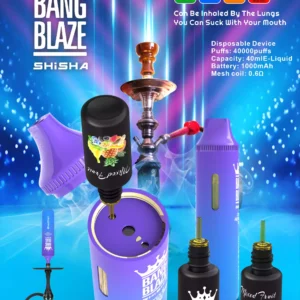 Exclusive Bang Blaze 40000 BK40 Disposable Vape 0% 2% 5% Nicotine 40ml E-liquid and Rechargeable Battery Wholesale Bulk Purchase (13)