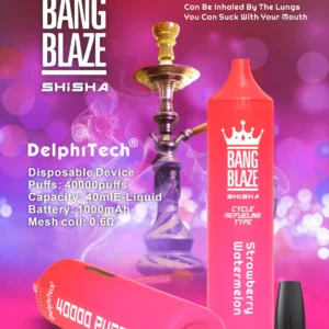 Exclusive Bang Blaze 40000 BK40 Disposable Vape 0 2 5 Nicotine 40ml E liquid and Rechargeable Battery Wholesale Bulk Purchase 2