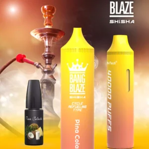 Exclusive Bang Blaze 40000 BK40 Disposable Vape 0 2 5 Nicotine 40ml E liquid and Rechargeable Battery Wholesale Bulk Purchase 3