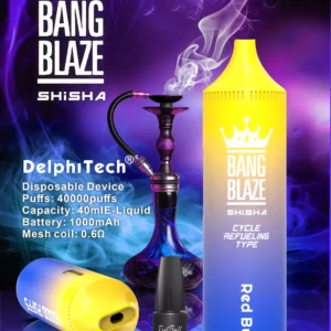 Exclusive Bang Blaze 40000 BK40 Disposable Vape 0 2 5 Nicotine 40ml E liquid and Rechargeable Battery Wholesale Bulk Purchase 5