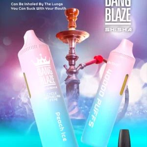 Exclusive Bang Blaze 40000 BK40 Disposable Vape 0 2 5 Nicotine 40ml E liquid and Rechargeable Battery Wholesale Bulk Purchase 6