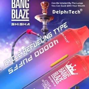 Exclusive Bang Blaze 40000 BK40 Disposable Vape 0% 2% 5% Nicotine 40ml E-liquid and Rechargeable Battery Wholesale Bulk Purchase (8)