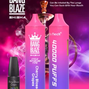 Exclusive Bang Blaze 40000 BK40 Disposable Vape 0 2 5 Nicotine 40ml E liquid and Rechargeable Battery Wholesale Bulk Purchase 9