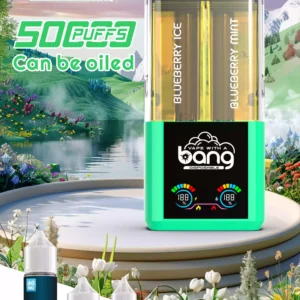 Hot Selling BANG 12 Flavors B50K Disposable Vape Wiht 0 2 3 5 Nicotine 36ml E Liquid 650mAh Battery Wholesale Supplier 10