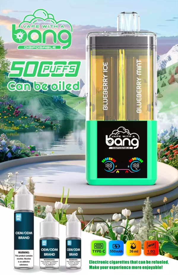 Hot Selling BANG 12 Flavors B50K Disposable Vape Wiht 0 2 3 5 Nicotine 36ml E Liquid 650mAh Battery Wholesale Supplier 10 scaled