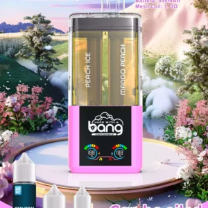 Hot Selling BANG 12 Flavors B50K Disposable Vape Wiht 0 2 3 5 Nicotine 36ml E Liquid 650mAh Battery Wholesale Supplier 4