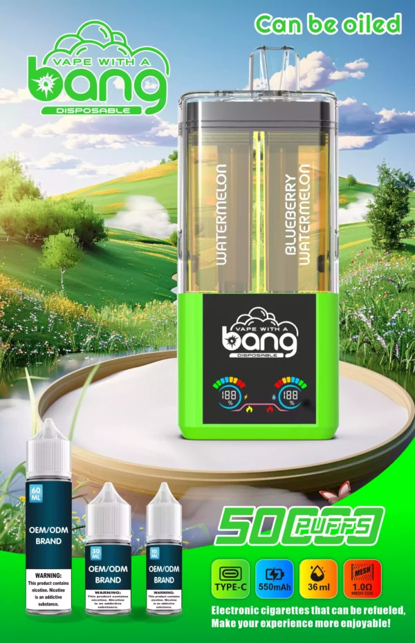 Hot Selling BANG 12 Flavors B50K Disposable Vape Wiht 0 2 3 5 Nicotine 36ml E Liquid 650mAh Battery Wholesale Supplier 5 scaled