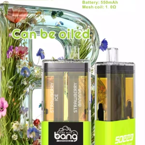 Hot Selling BANG 12 Flavors B50K Disposable Vape Wiht 0% 2% 3% 5% Nicotine 36ml E Liquid 650mAh Battery Wholesale Supplier (7)