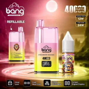 Wholesale BANG 40K B40S Disposable Vape 0 2 3 5 Nicotine 650mAh Battery with Type C for Bulk Buying 10