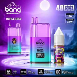 Wholesale BANG 40K B40S Disposable Vape 0% 2% 3% 5% Nicotine 650mAh Battery with Type C for Bulk Buying (11)